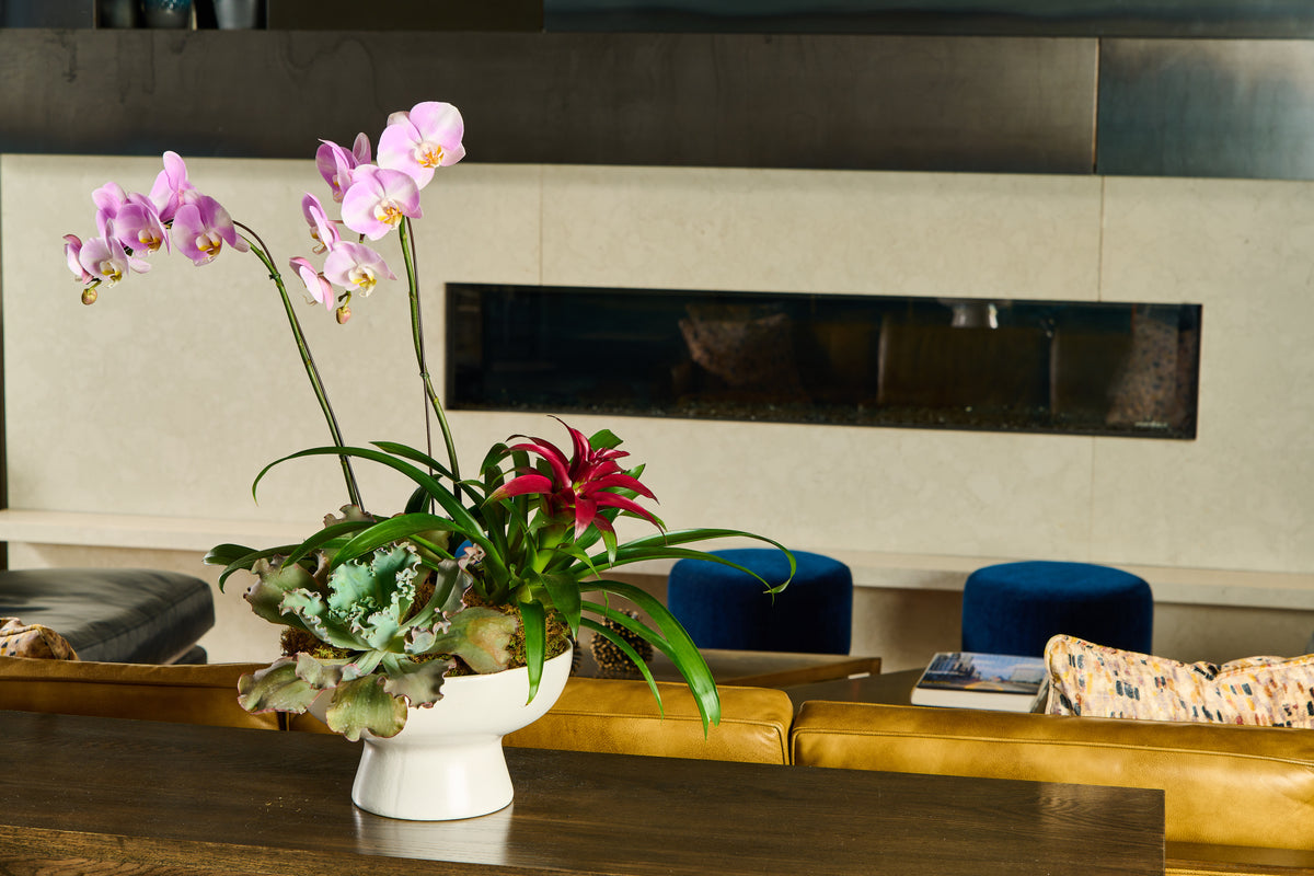 flowers for dreams same-day flower delivery hero