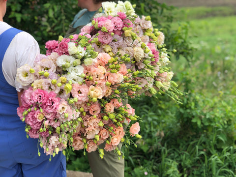  Shop Fernabelle Acres delivery 