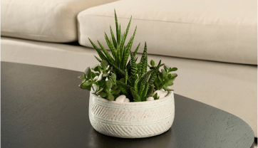 flower delivery flower arrangement weekly subscription