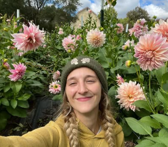  Shop Teshuva Fields delivery 